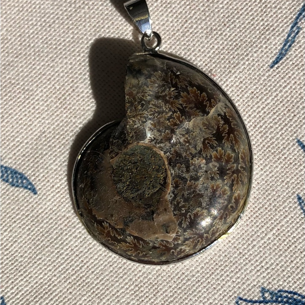 Ammonite Pendant - Picture 2 of 4